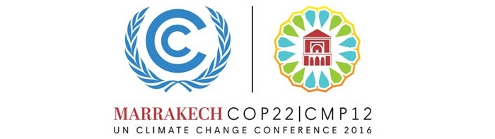 COP 22